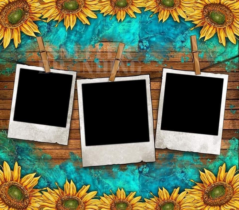 Sunflowers Wood Custom Photos