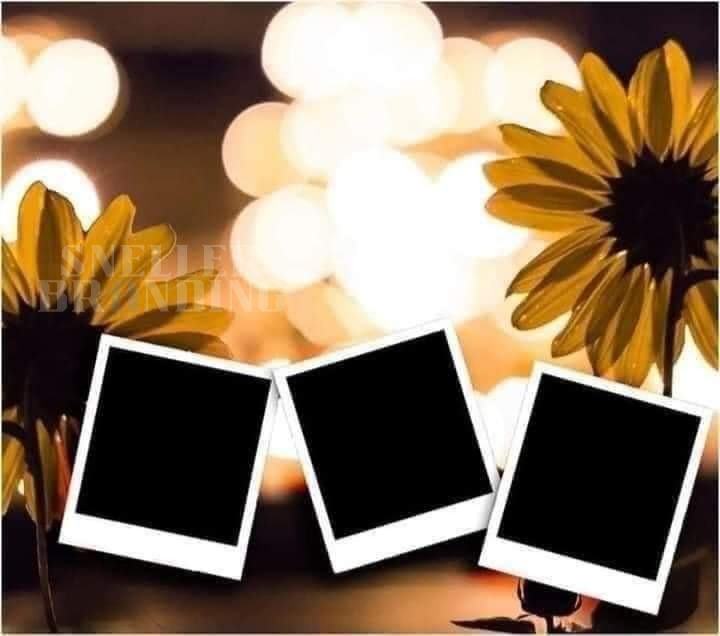 Sunflowers Bokeh Custom Photos